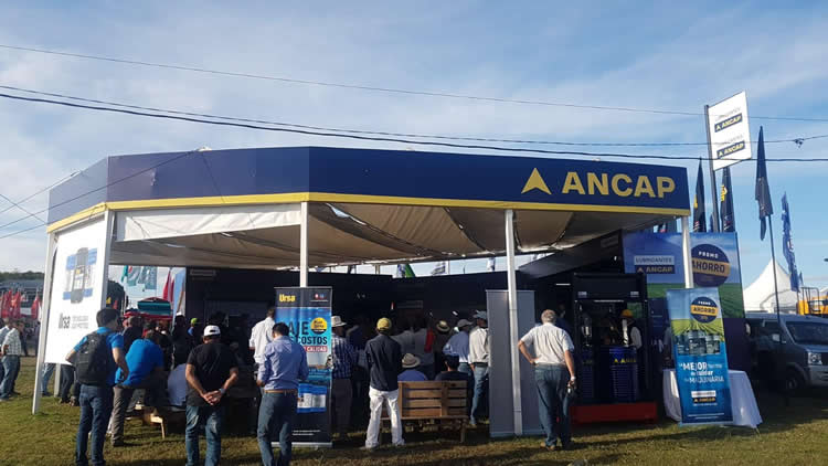 Lubricantes ANCAP y CHEVRON TEXACO con precios rebajados hasta el 31 de mayo