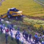 Cultivadores de arroz muestran preocupación por alto costo de combustibles y plantean su liberalización