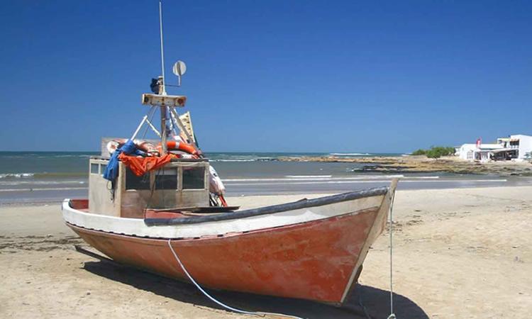 La venta de combustibles en enero cayó en 10 millones de litros