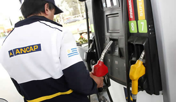 De liberalizarse distribución secundaria del combustible, corre riesgo la estabilidad de 250 Estaciones de Servicio