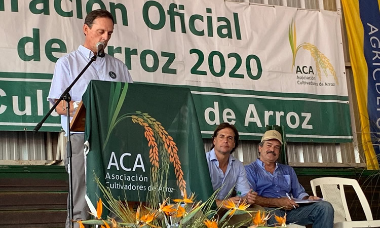 Cultivadores de Arroz denuncian los “peores guarismos de competitividad en el precio del Gas Oil desde que se llevan registros”