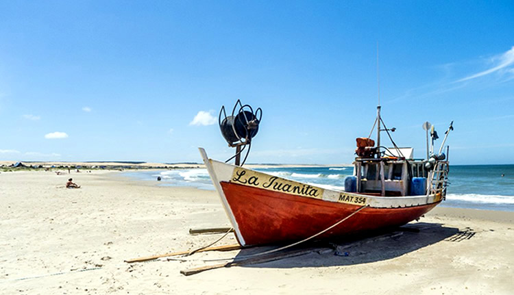 COVID19: reducción de emisiones de 2.000 millones de toneladas de C02 con respecto a 2019