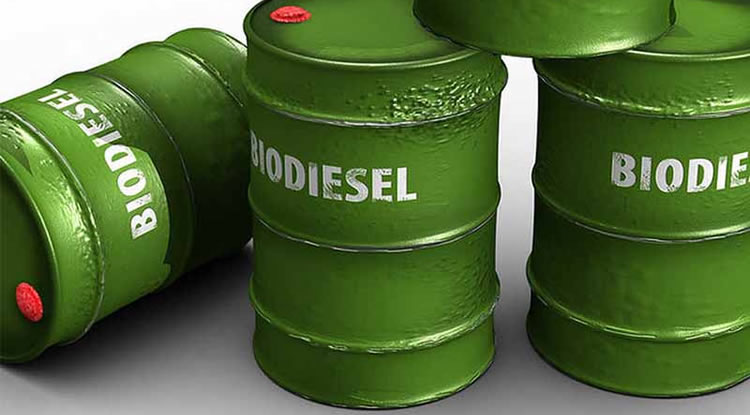 De quitarse la mezcla del 5 por ciento de biodiesel al gas oil, el litro pasaría a costar $ 39.14