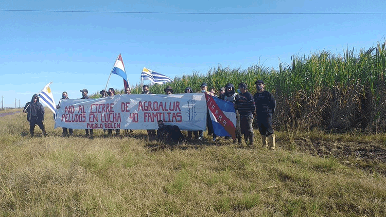 ANCAP mantendrá fuente laboral a empleados de ALUR de Pueblo Belén