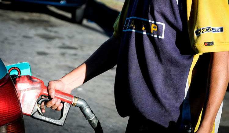 Gasolinas y gas oil mantienen su precio para Febrero