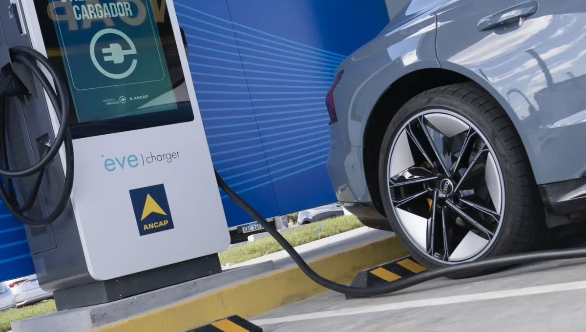 Mathias Álvarez, CEO de MA Group: “El parque automotor eléctrico crece por ascensor y la infraestructura va por la escalera”