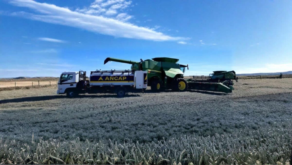 Estaciones rurales alertan por caída en la demanda de gasoil luego de una zafra con bajo rendimiento