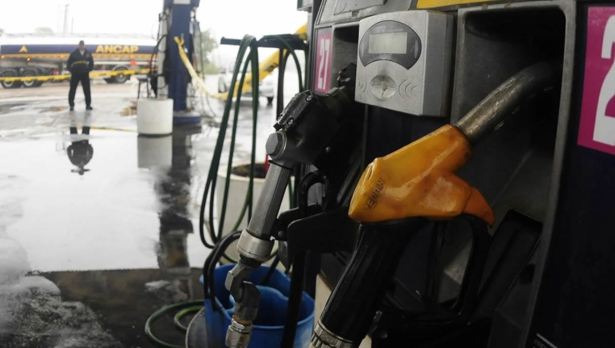 El Gobierno analiza medidas para proteger el abastecimiento interno de combustibles