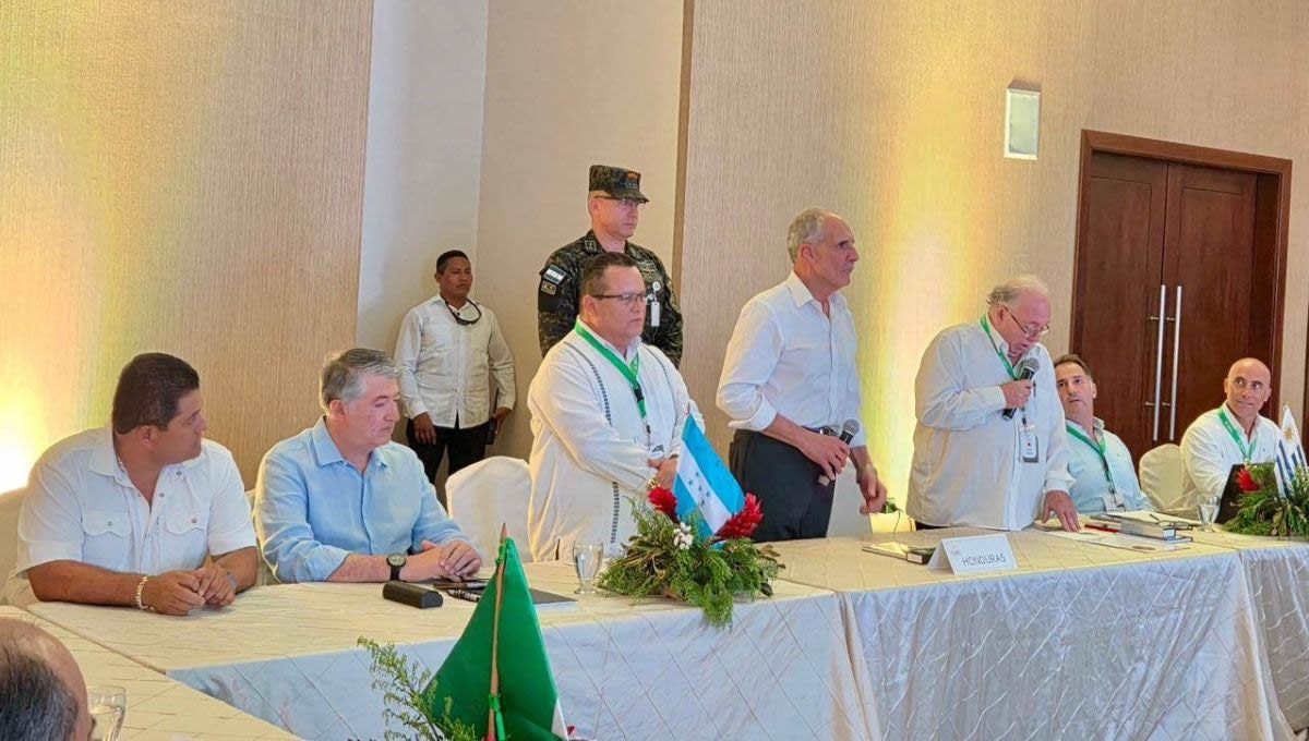 La electromovilidad ya recorta hasta 20 por ciento las ventas de nafta en las Estaciones de Servicio